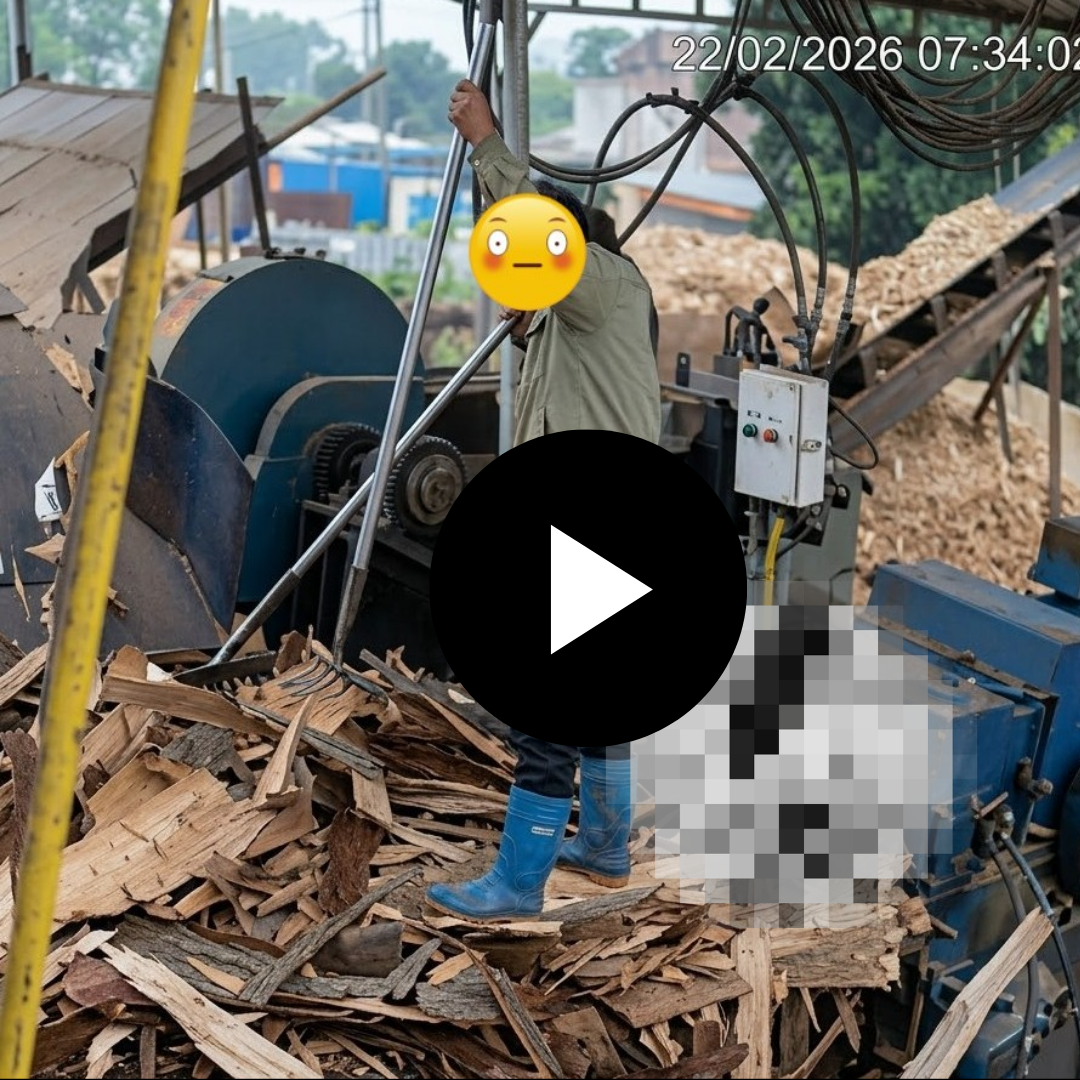 TNLĐ máy băm gỗ tại Bắc Giang(cũ)